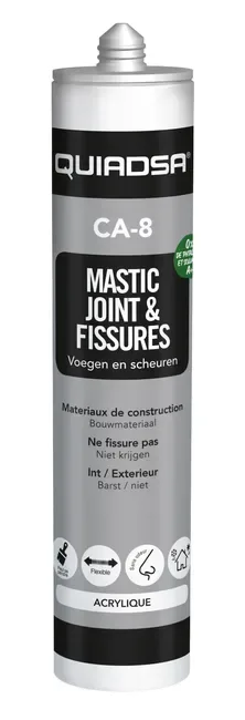 Mastic acrylique joint et fissures blanc 300 ml CA-8